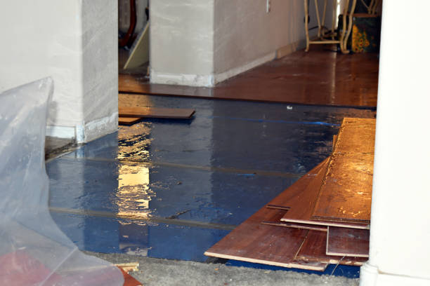 Professional Emergency Water Damage Restoration technician working in Waveland, MS